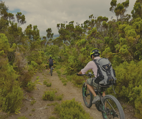 E-MTB All-Mountain Biking