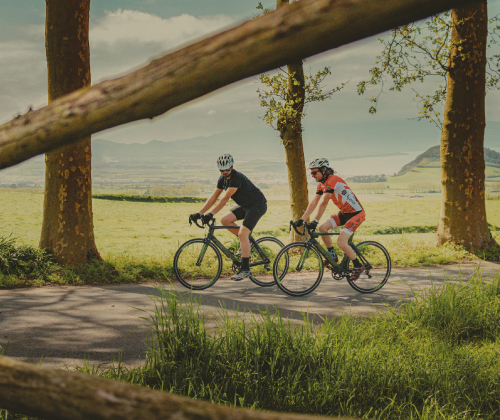 Road Bike Tour – Terra Nostra Garden and Tea Plantation