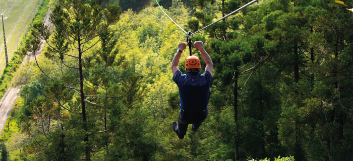Zipline Furnas