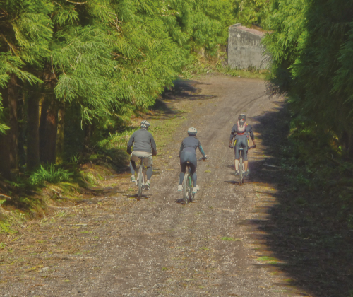 Biking >Hybrid e-bike > Touring Nordeste